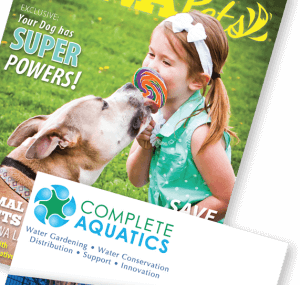 custom magazine printing
